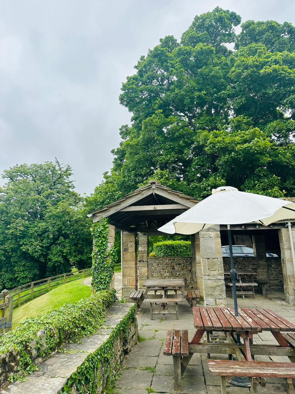 WhatsApp Image 2026-01-28 at 11.29.19